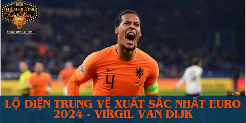 lo-dien-trung-ve-xuat-sac-nhat-euro-2024-virgil-van-dijk