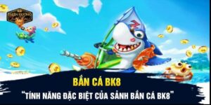 tim-hieu-doi-dieu-ve-ban-ca-bk8