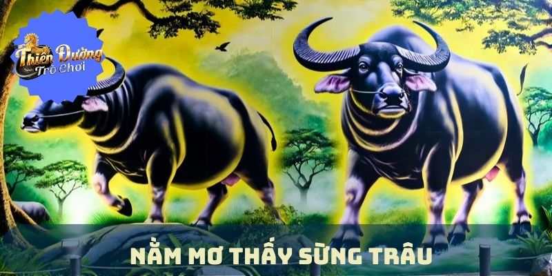 Nằm Mơ Thấy Hai Con Trâu Húc Nhau | Con Số Dành Cho Bạn